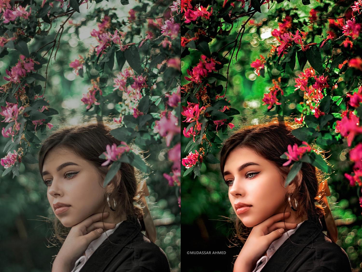 StudyElevate Pro - Image 2